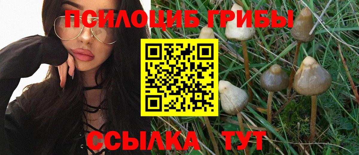 Псилоцибиновые грибы мицелий  Псилоцибиновые грибы Cubensis  Куйбышев  Вход с VPN 