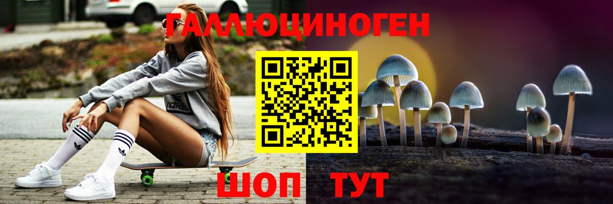 Псилоцибиновые грибы мицелий Куйбышев